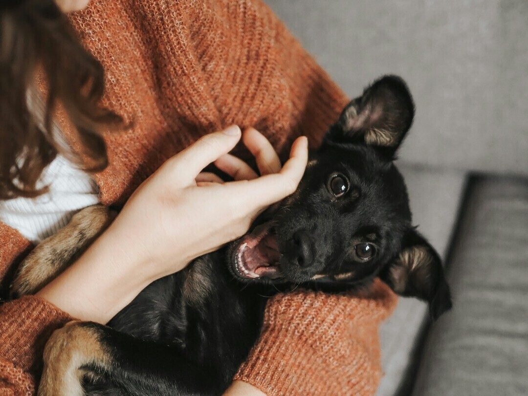 veronika jorjobert 27w3ULIIJfI unsplash 2 1 428a1