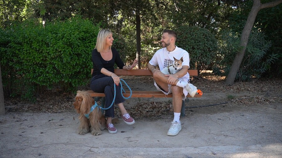 PET_STORIES_11.10_3_785a6.jpeg