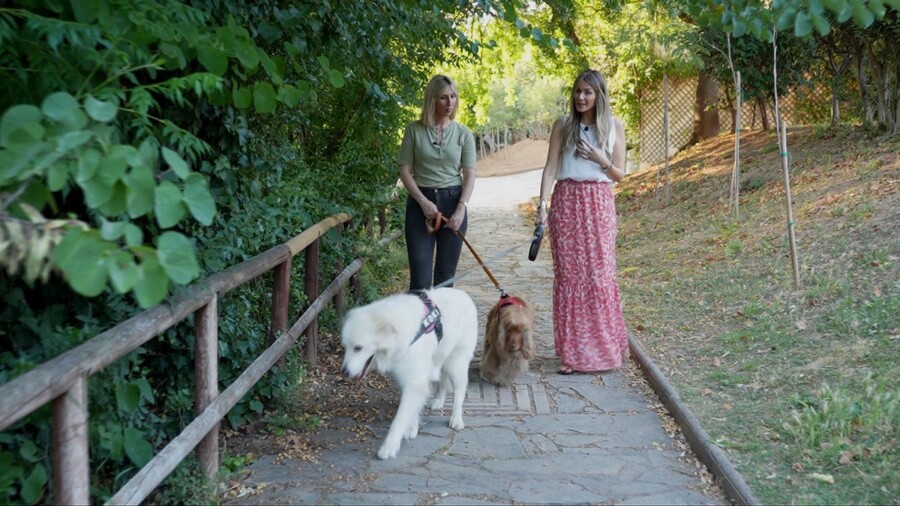 PET_STORIES_11.10_7_6b6bb.jpeg