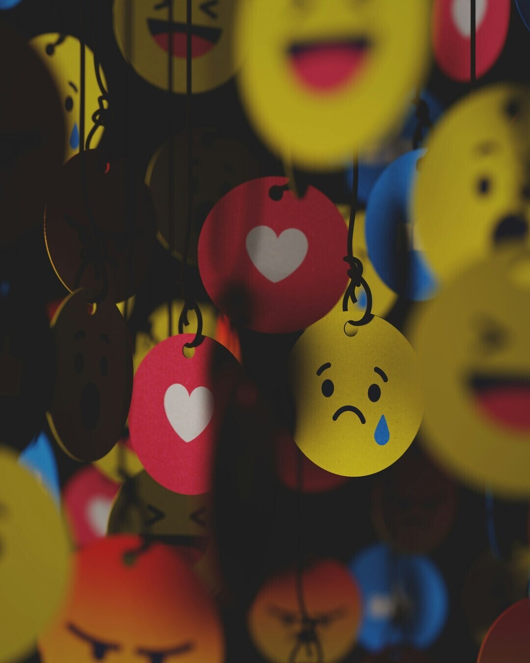 manas rb wDdW hF9pgM unsplash 1 89b01