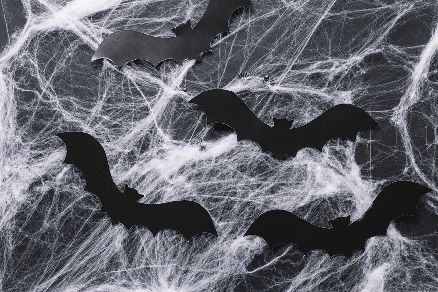 paper-bats-with-plastic-web_42525.jpg