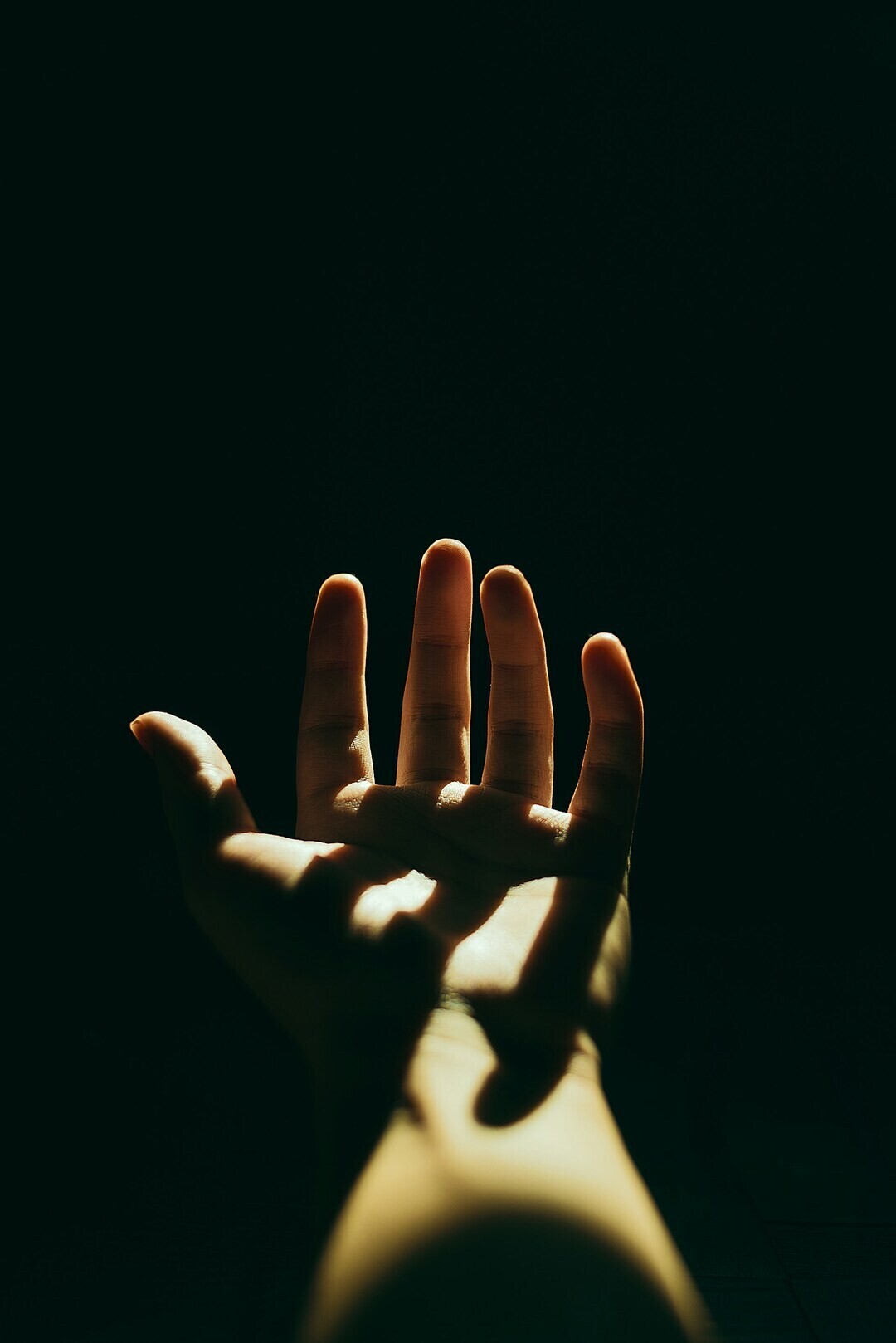 agustin fernandez sNgkS19j1rA unsplash 1 a70e3