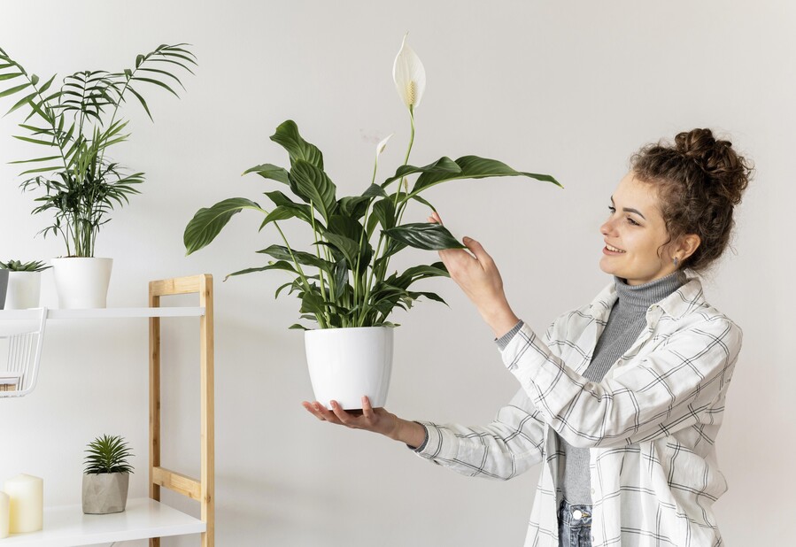 medium-shot-woman-holding-plant_8d9fd.jpg