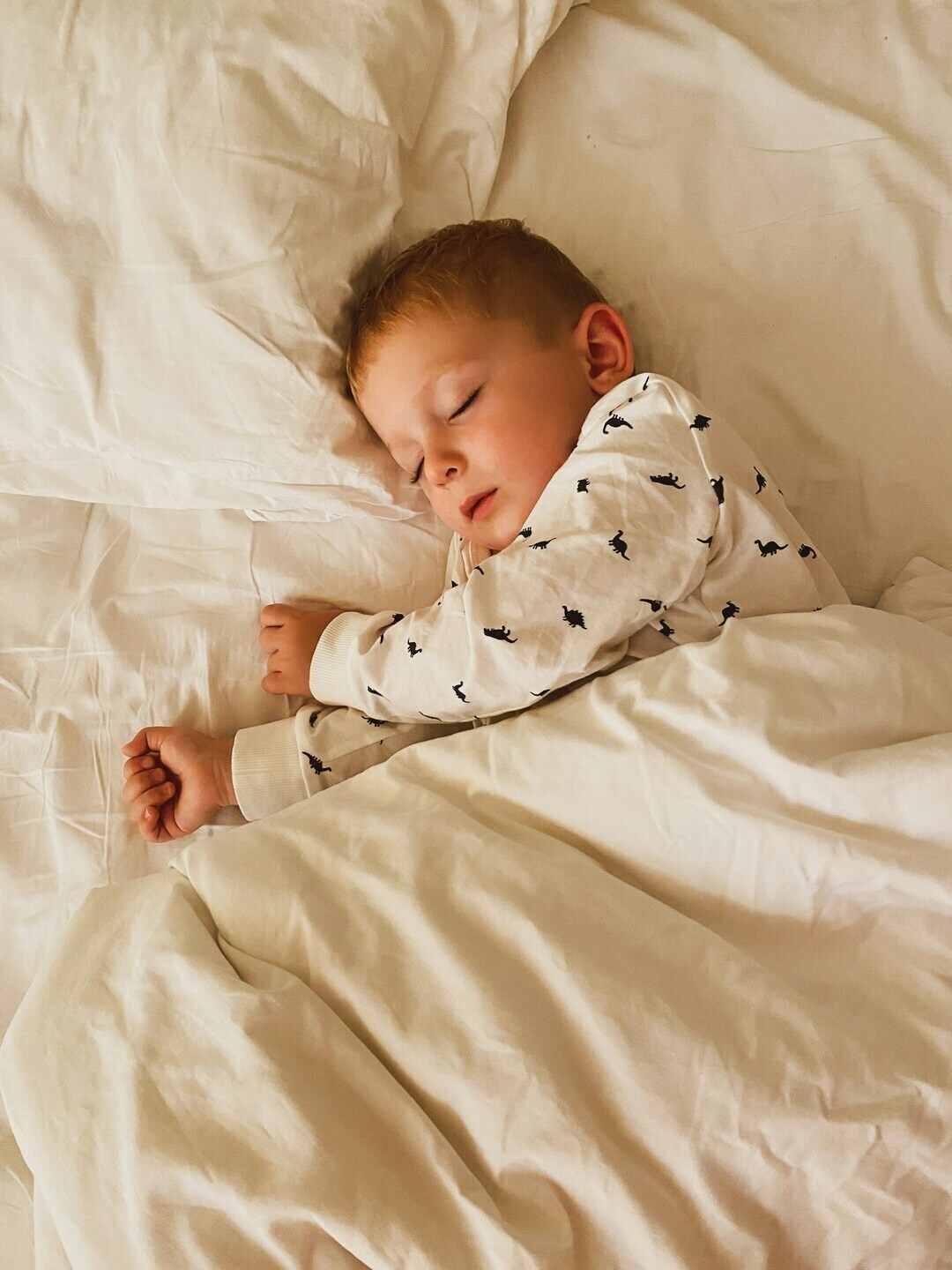 martin platonov 7J91qQ5F5kk unsplash 1 449a9