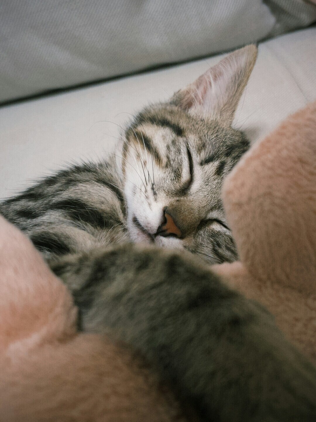 super tseng GPkjLVuWj2k unsplash 1 2c28c