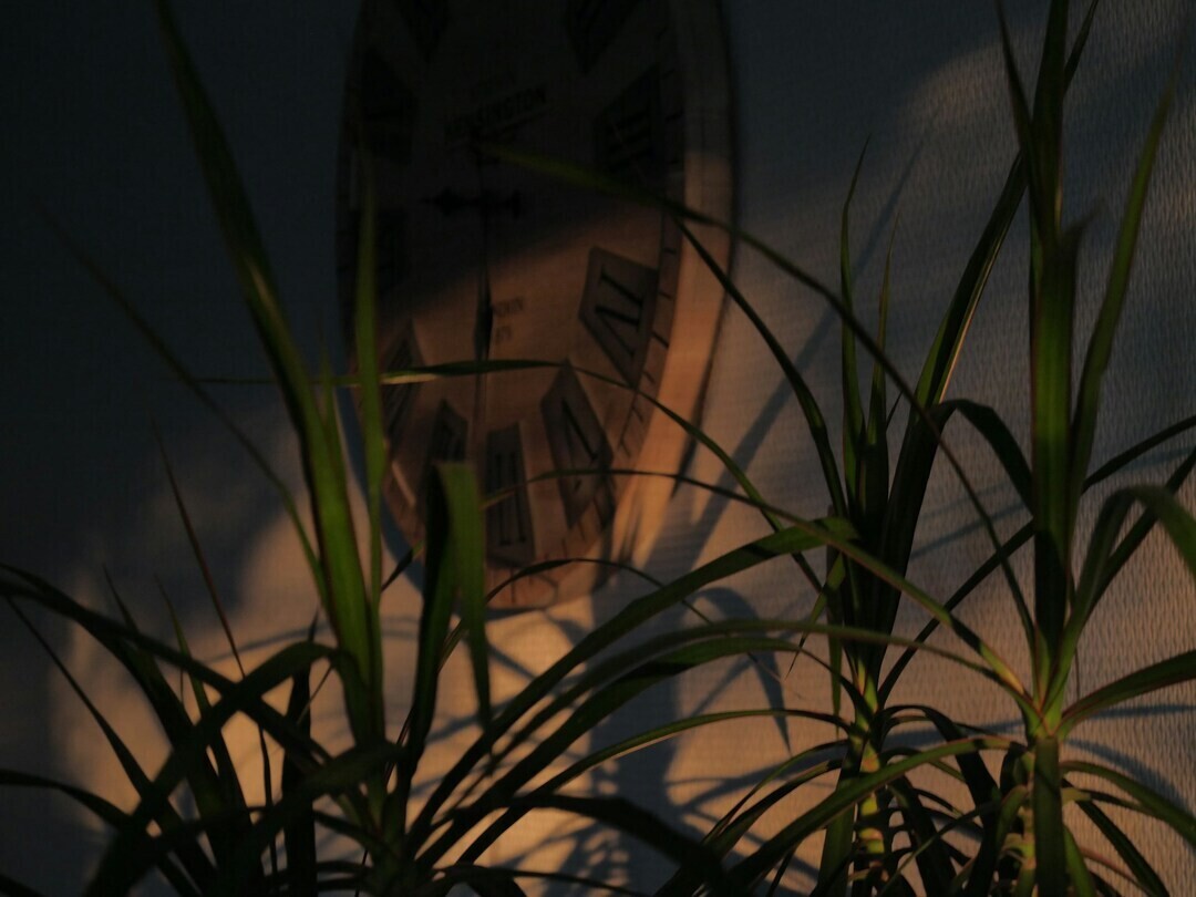 rafael garcin Slq3ComFzLw unsplash 1 f9b39