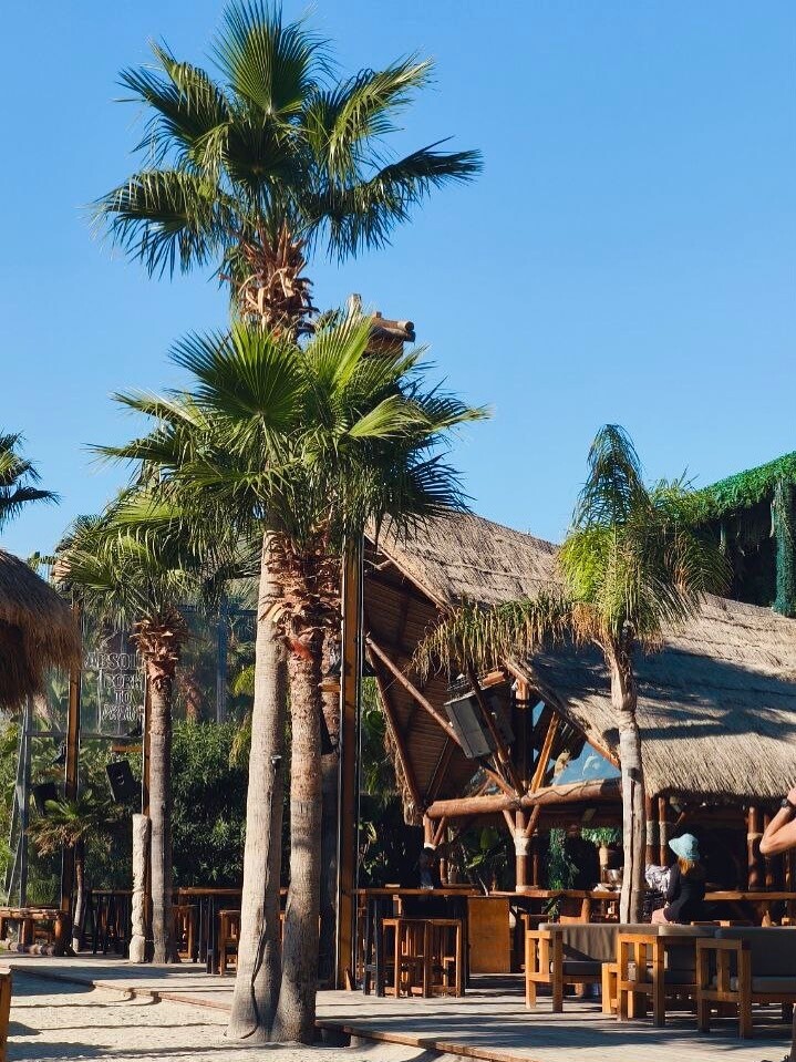 570357753 18559880008053943 2498052826882341274 n 1a22d