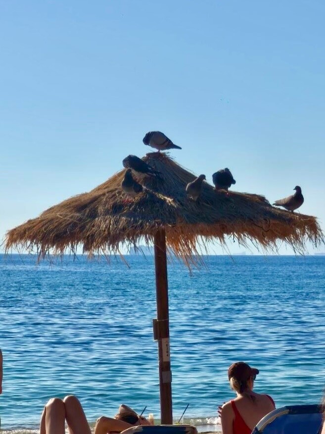 582186253 18559879984053943 3446766961768553512 n 0d12e