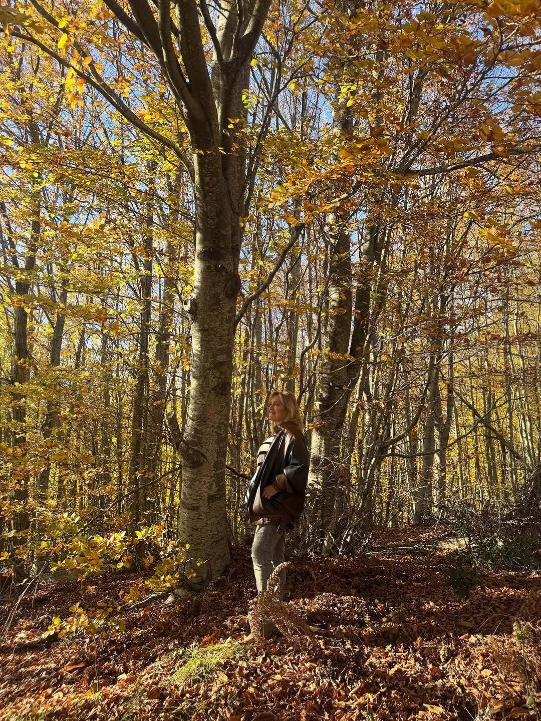 571001521 18377155264147364 3505839629120523783 n 030f1