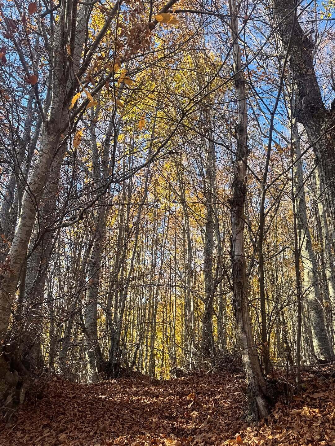 582040363 18377155282147364 8460069504861943153 n 47230