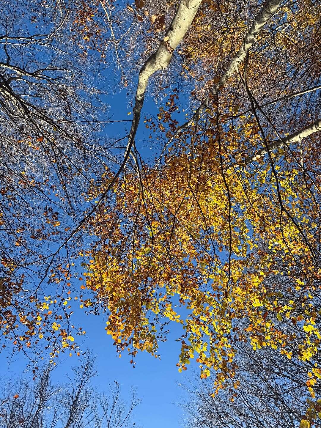 583227597 18377155303147364 2799692596905603163 n a85a4