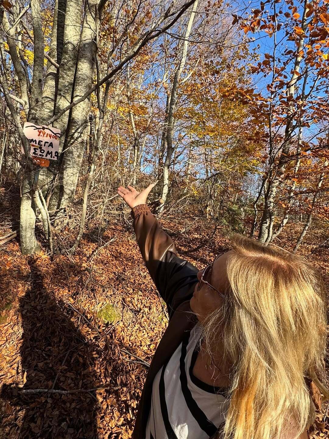 584275882 18377155291147364 8806449389523969347 n 37e35