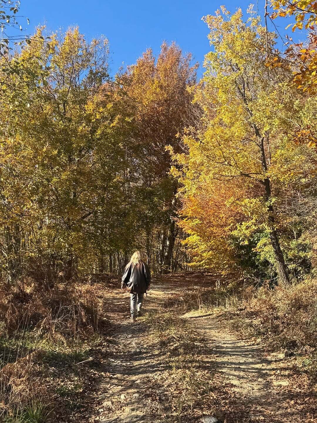 584413080 18377155213147364 7550086545773283747 n 7976f