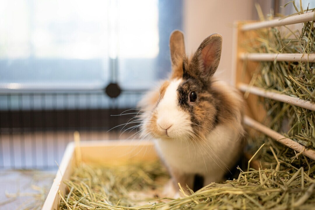 john feng 5muaF4bW1qs unsplash 1 ac0b5