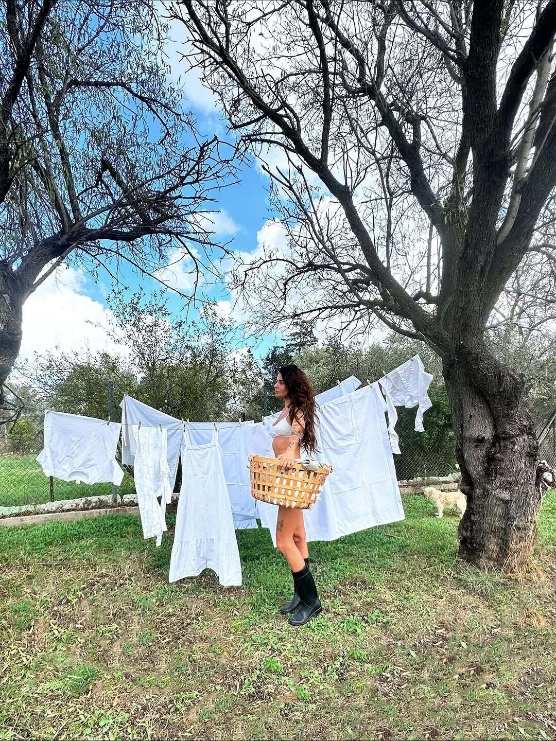 584085072 18409821334142437 388507662150273172 n f14dc