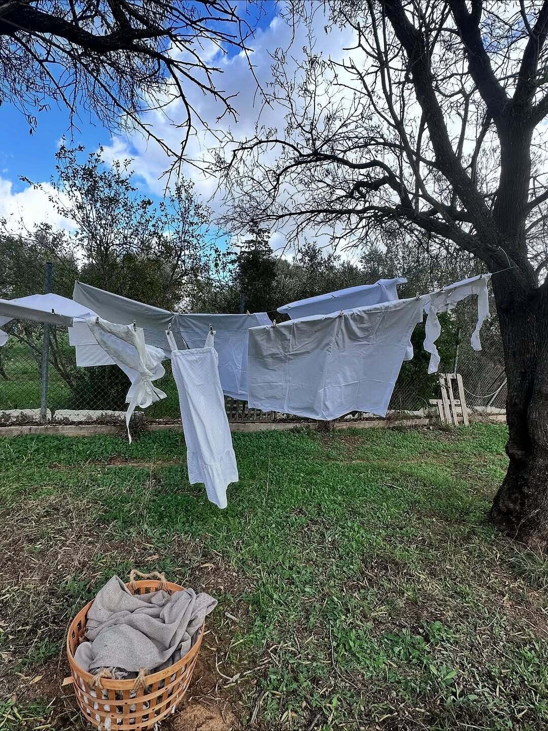 586674053 18409821403142437 8624262053194055297 n 4ce16