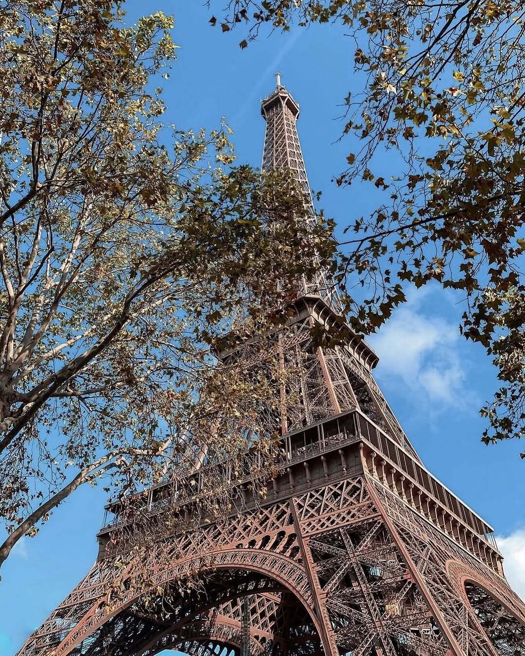 588637239 18547555405038604 7269502624958764877 n 118b4