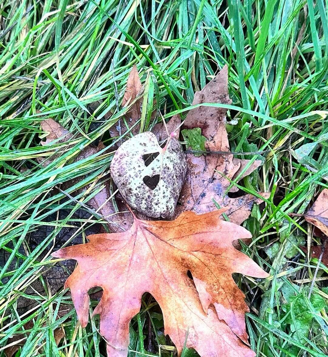 589907996 18411831346142437 6892860946078492857 n 08ec7