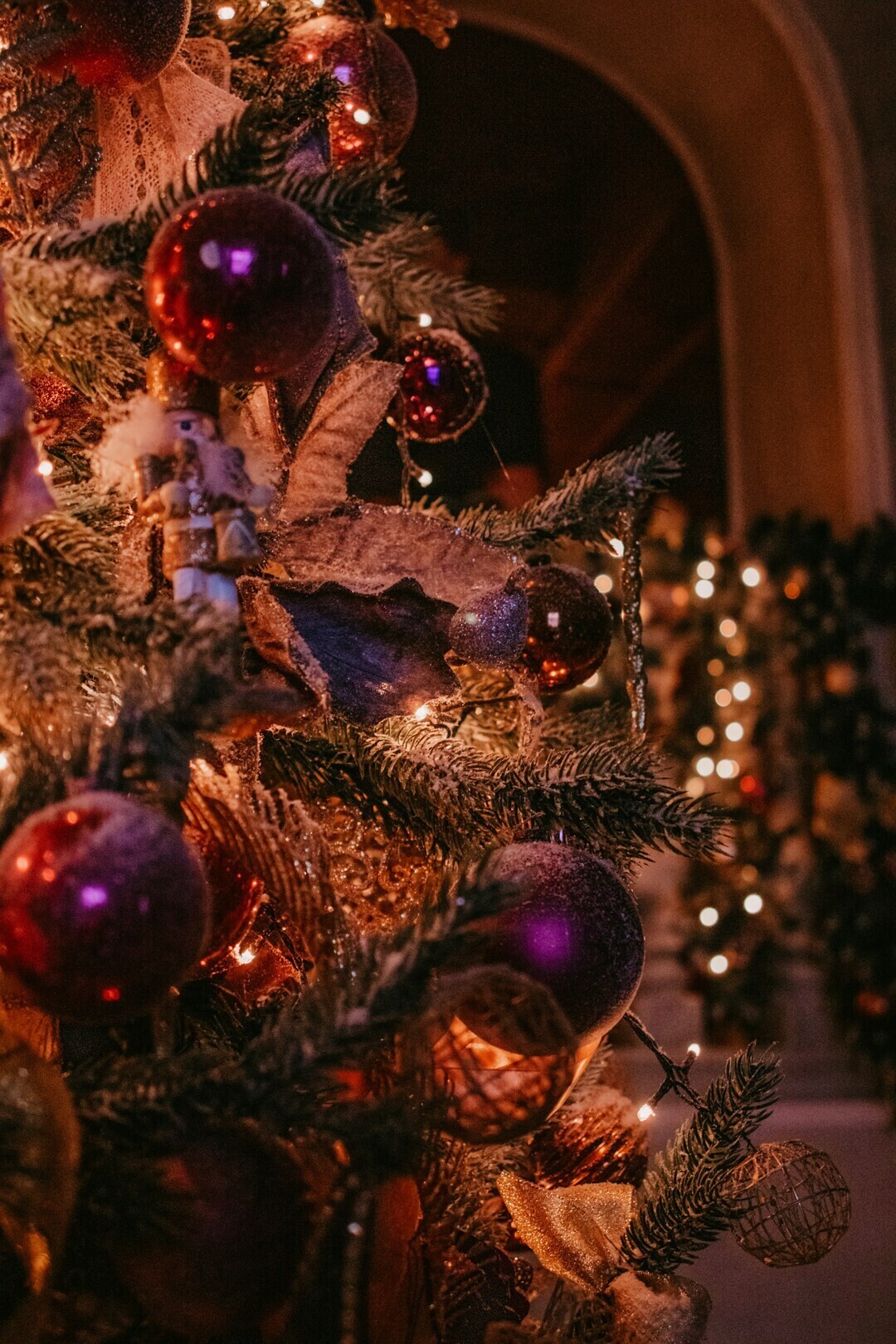 alsu vershinina SjXyVI6vMwo unsplash 2 1 dfdc1