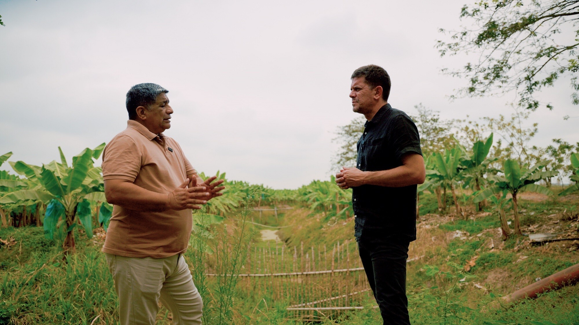 PRIME TIME 17.12 7 10050