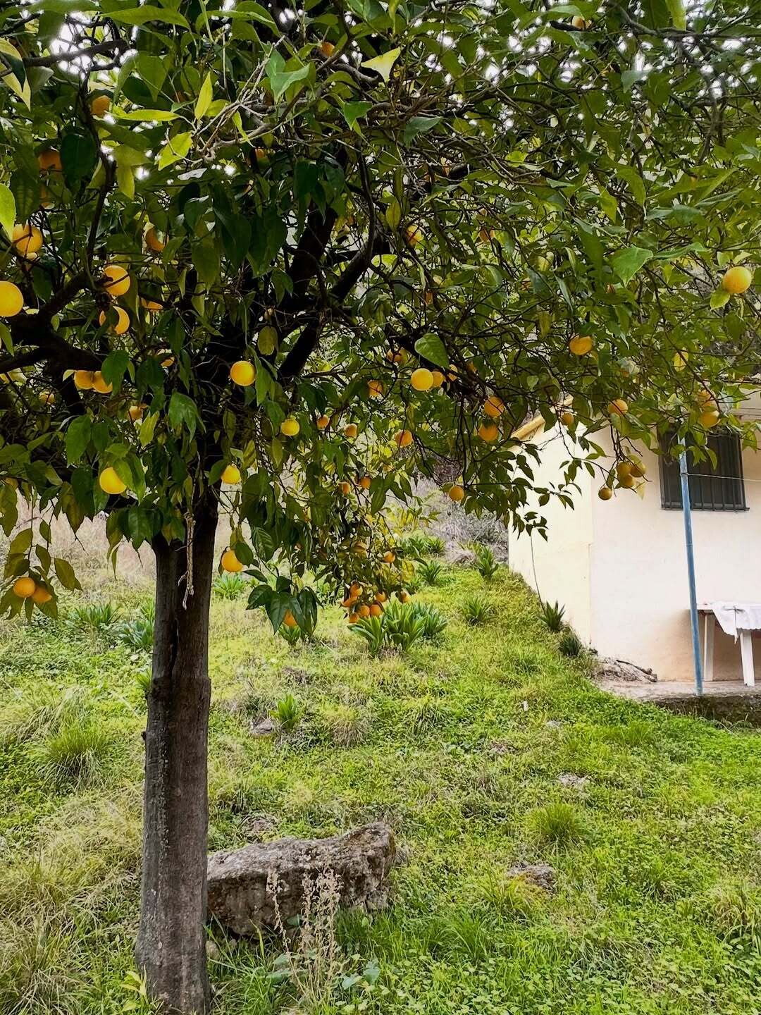 587535720 18413566351142437 3471457508371758430 n 8ee55