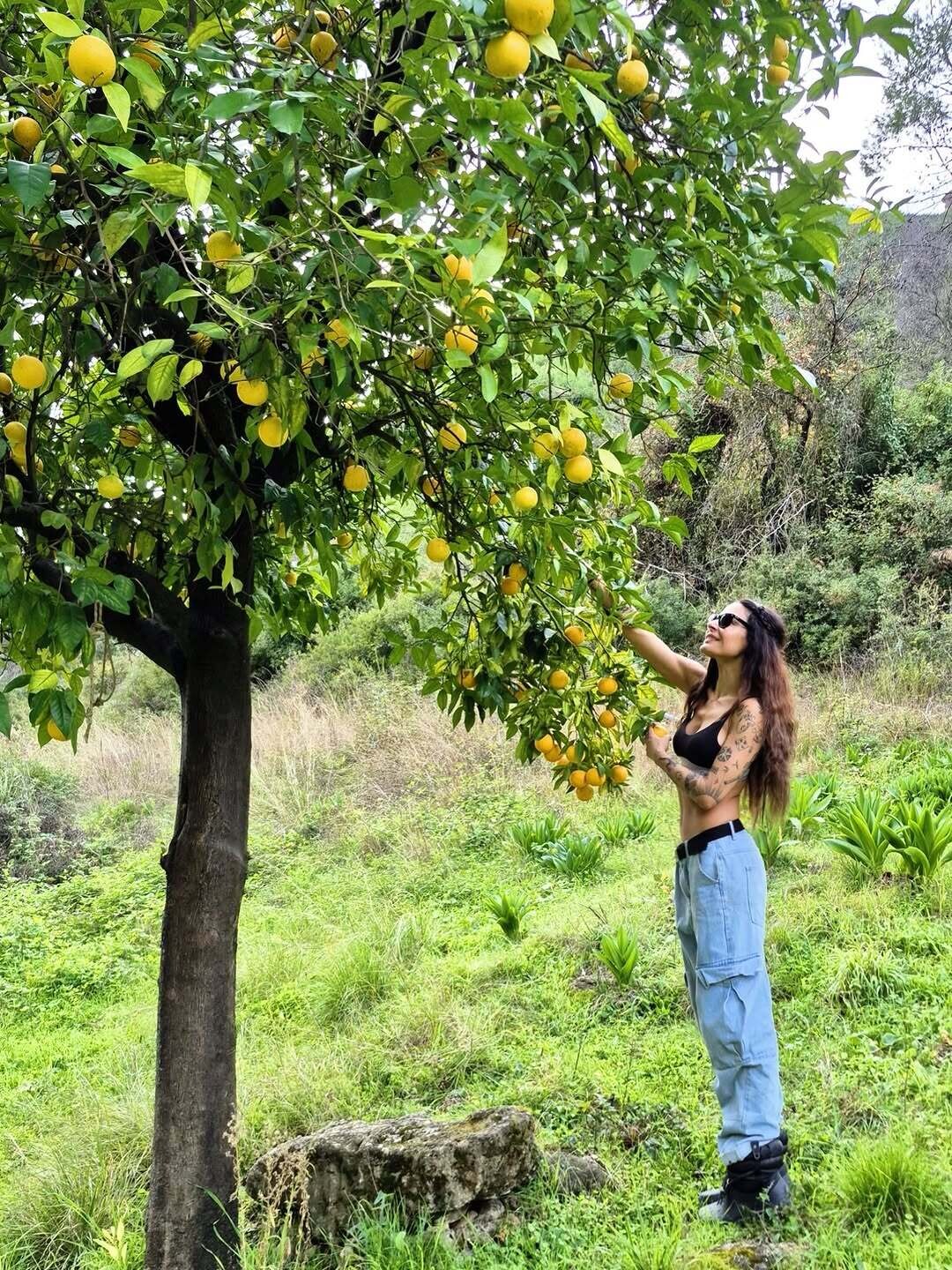 603631016 18413566342142437 1932654159205119491 n 9ebc9