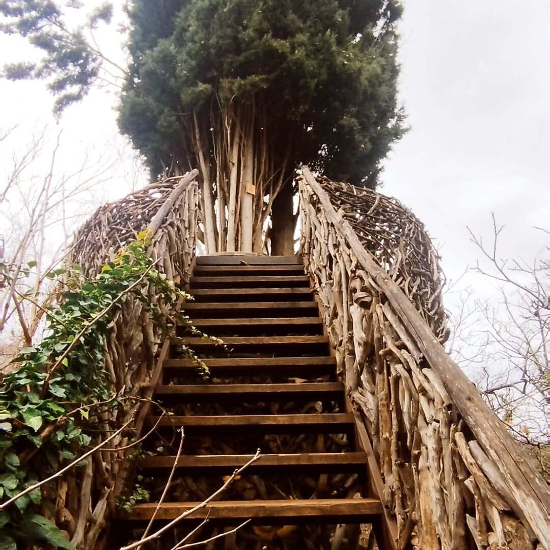 SnapInsta.to 604462440 18496301008073126 3326960301618742819 n e7c16