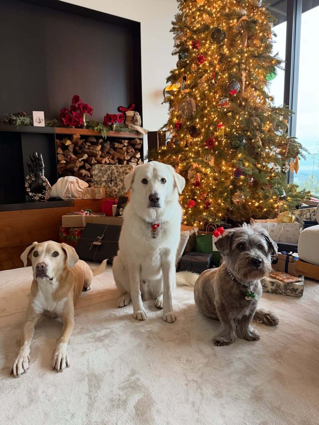 SnapInsta.to 604542601 18129647764714497 1098752010023729946 n 6b97a