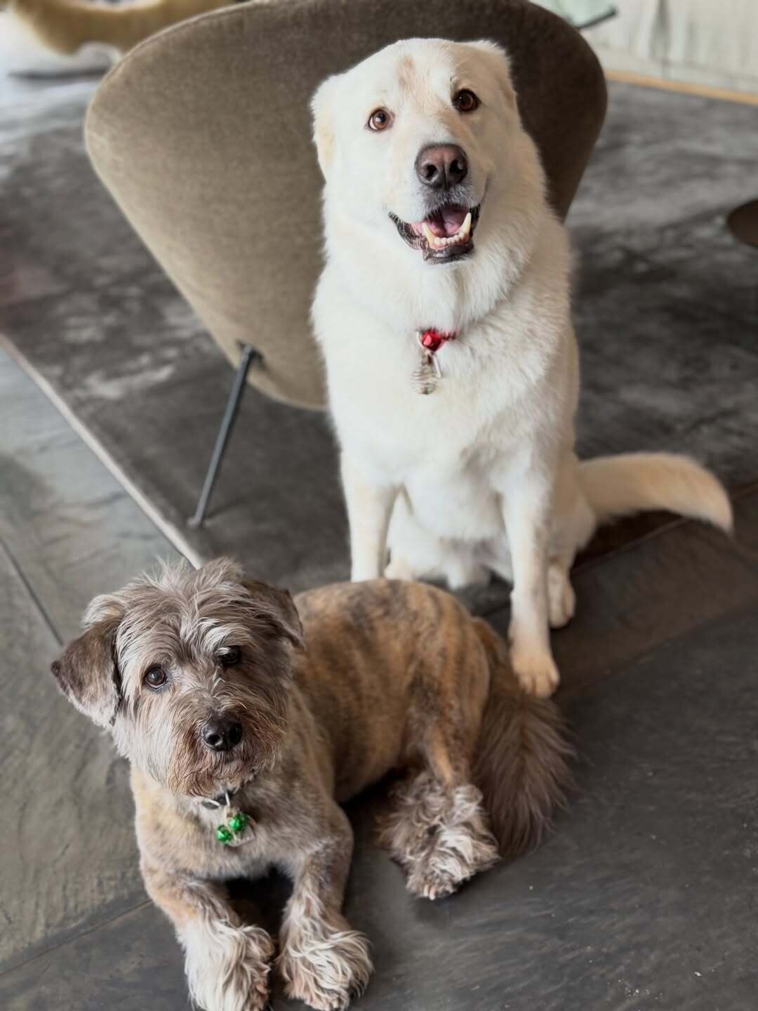 SnapInsta.to 605851626 18129647857714497 4839655288931757385 n 7618a