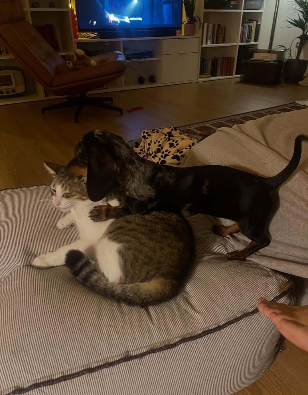 SnapInsta.to 587783258 18551005834065440 2060903722983251839 n a4e84