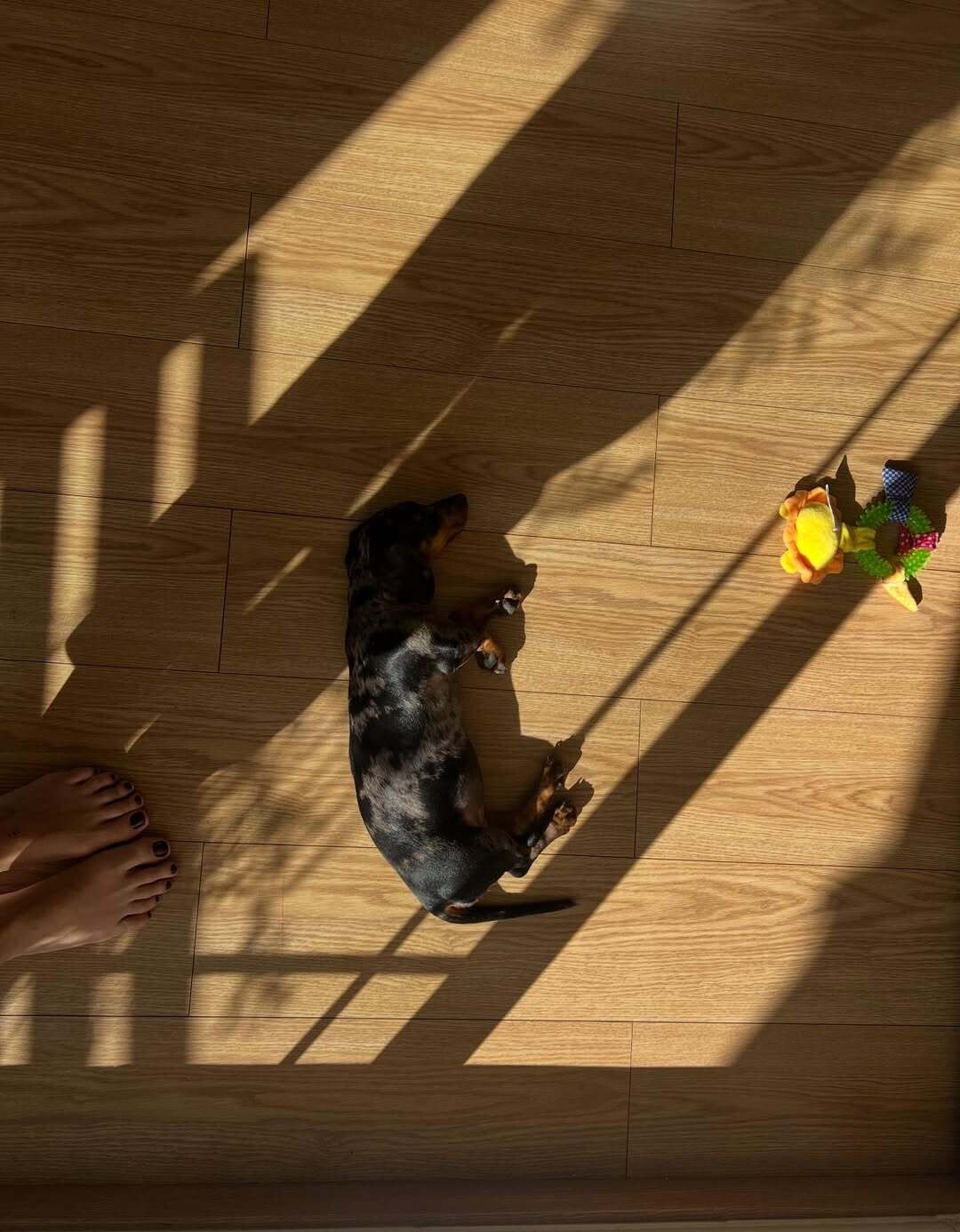 SnapInsta.to 607087089 18551005924065440 7136547072534339257 n b8ffb