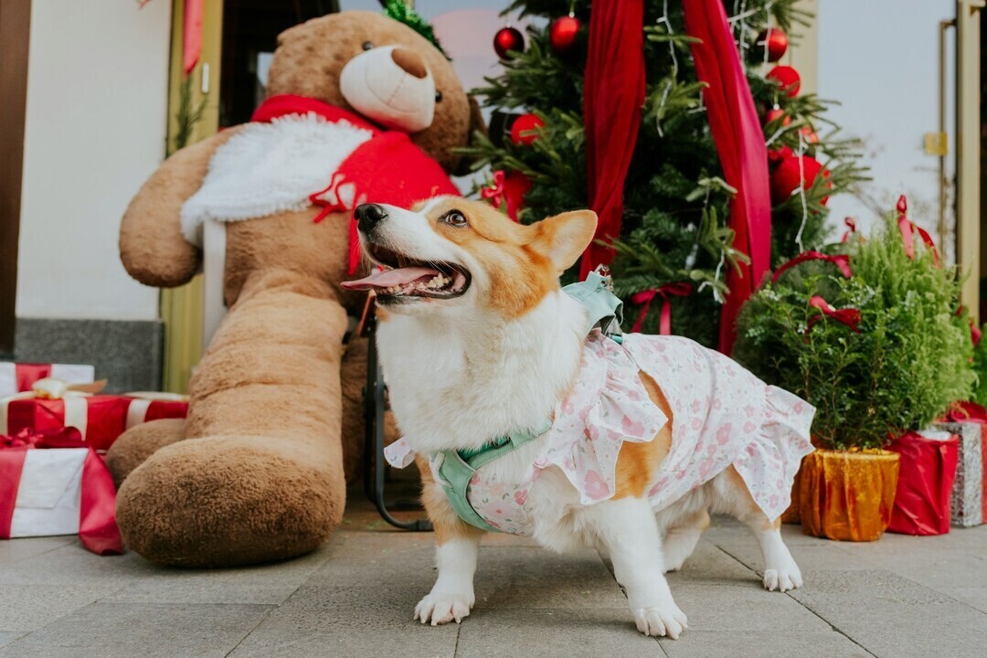 alvan nee V5K0Gxx4MWY unsplash 1 68a22