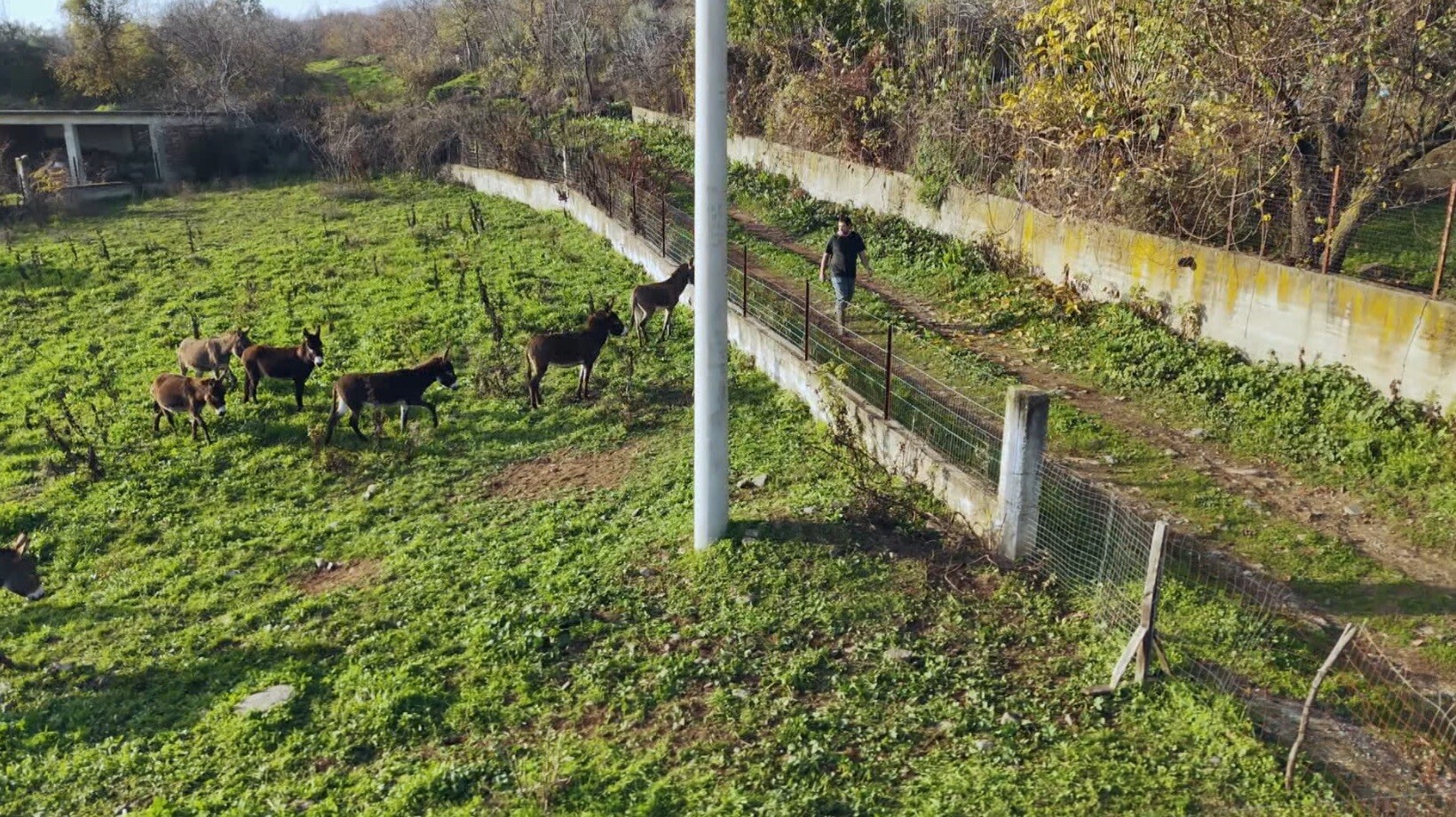 ΟΠΟΥ ΥΠΑΡΧΕΙ ΕΛΛΑΔΑ 06.01 1 e98ea