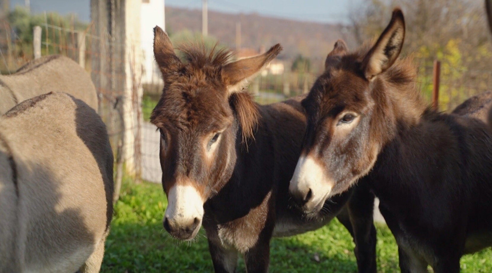 ΟΠΟΥ ΥΠΑΡΧΕΙ ΕΛΛΑΔΑ 06.01 2 e63c2