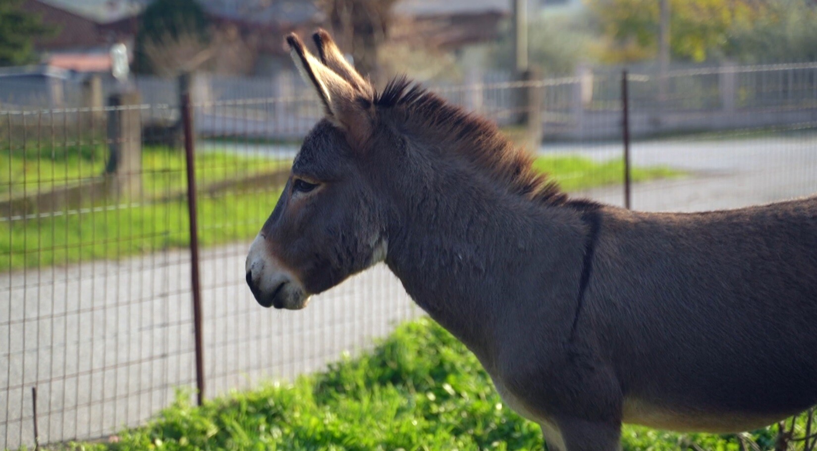 ΟΠΟΥ ΥΠΑΡΧΕΙ ΕΛΛΑΔΑ 06.01 4 faab0