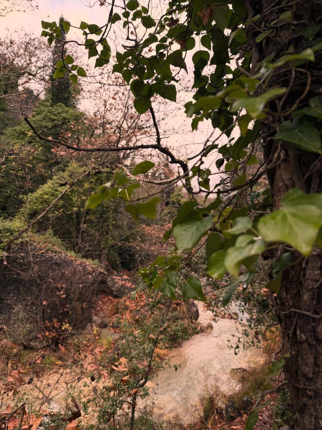 SnapInsta.to 612487696 18555039232037376 3313250513957195482 n aeed6