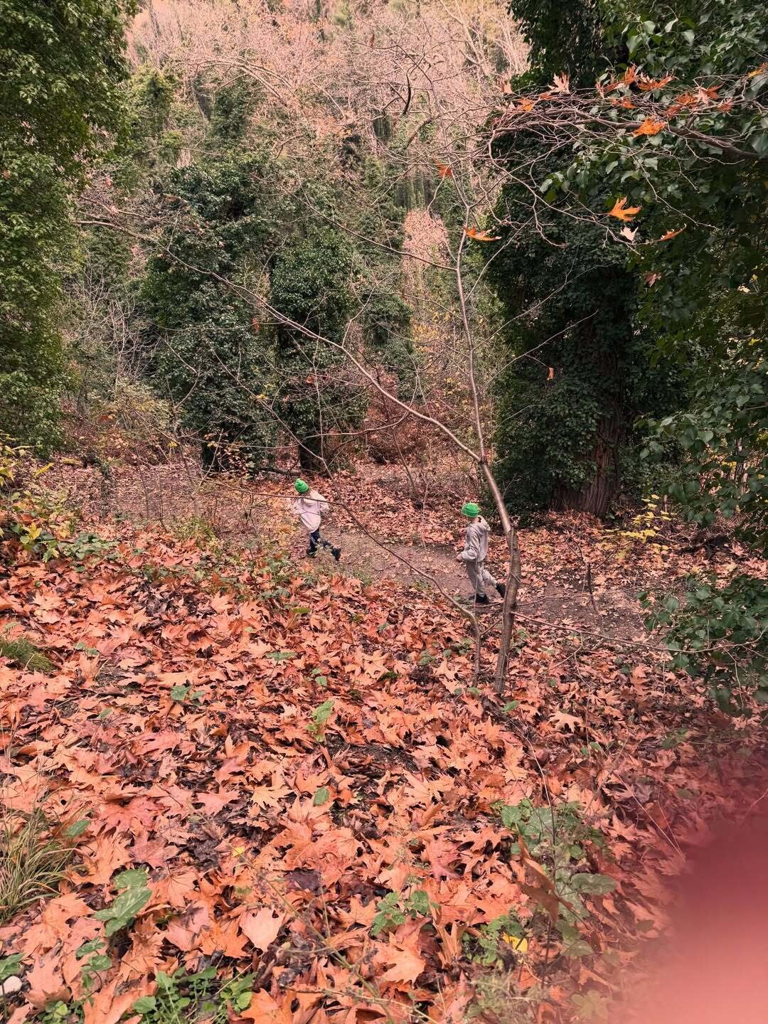 SnapInsta.to 612621088 18555039118037376 994767196969157537 n a4e1d