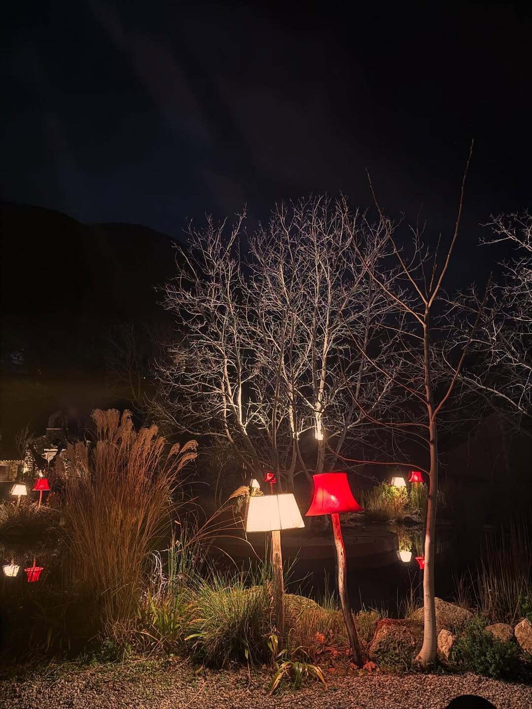 SnapInsta.to 613005011 18555039088037376 6582834016969382642 n 8da19