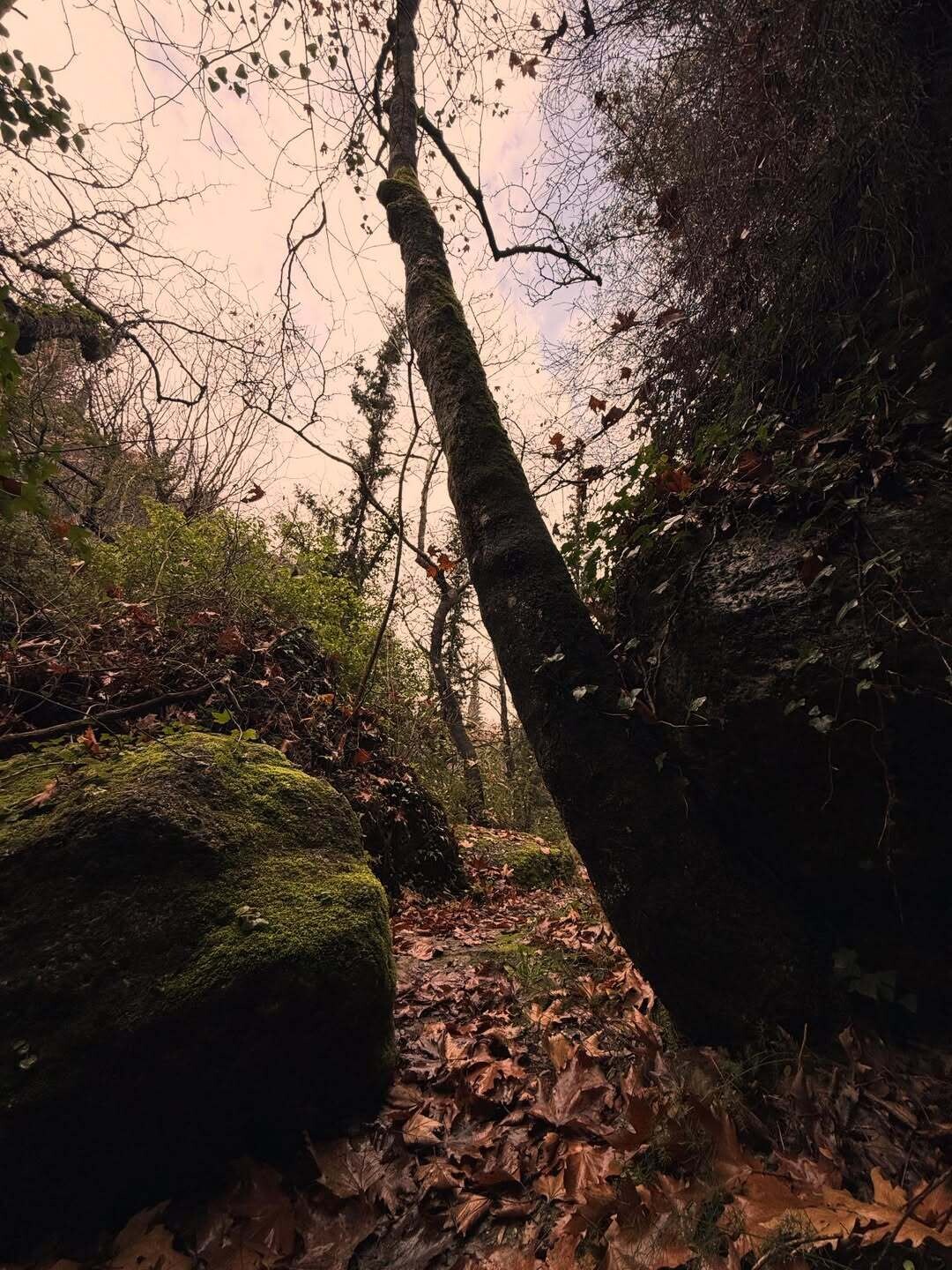 SnapInsta.to 613021794 18555039166037376 5556735478800194224 n 45b9b