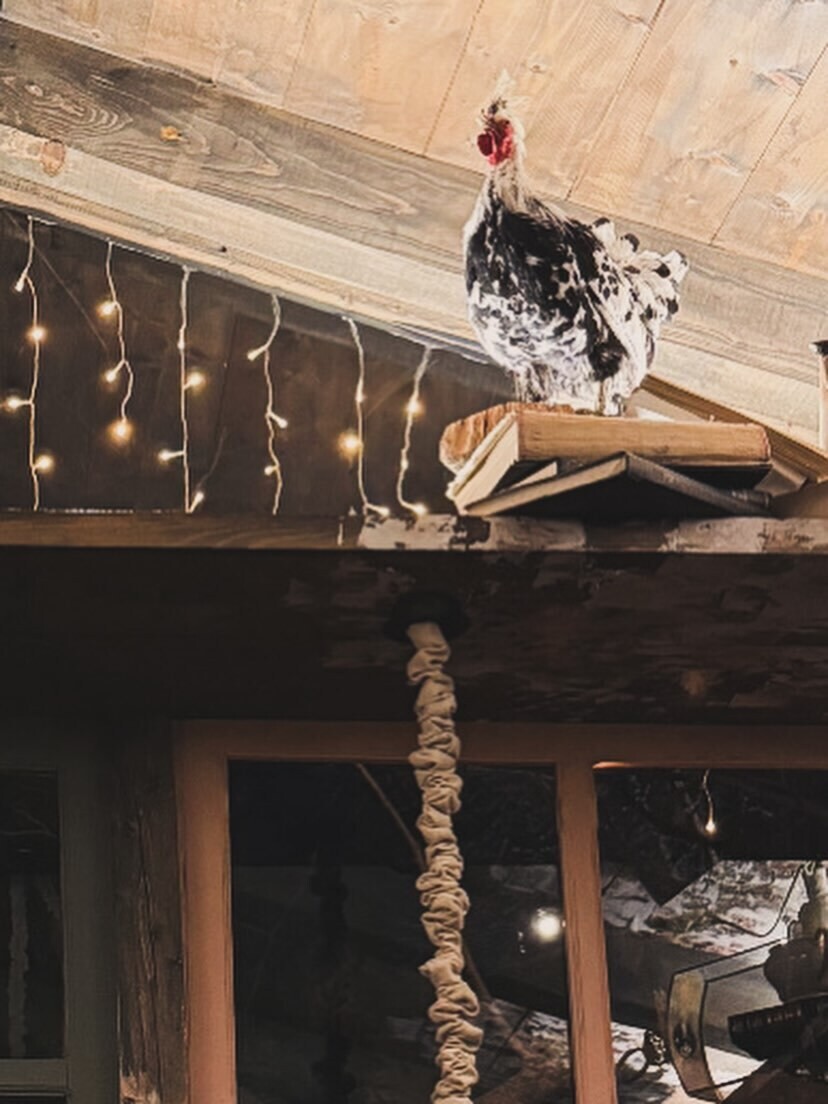 SnapInsta.to 613133983 18555039148037376 8902713355492367649 n d00be