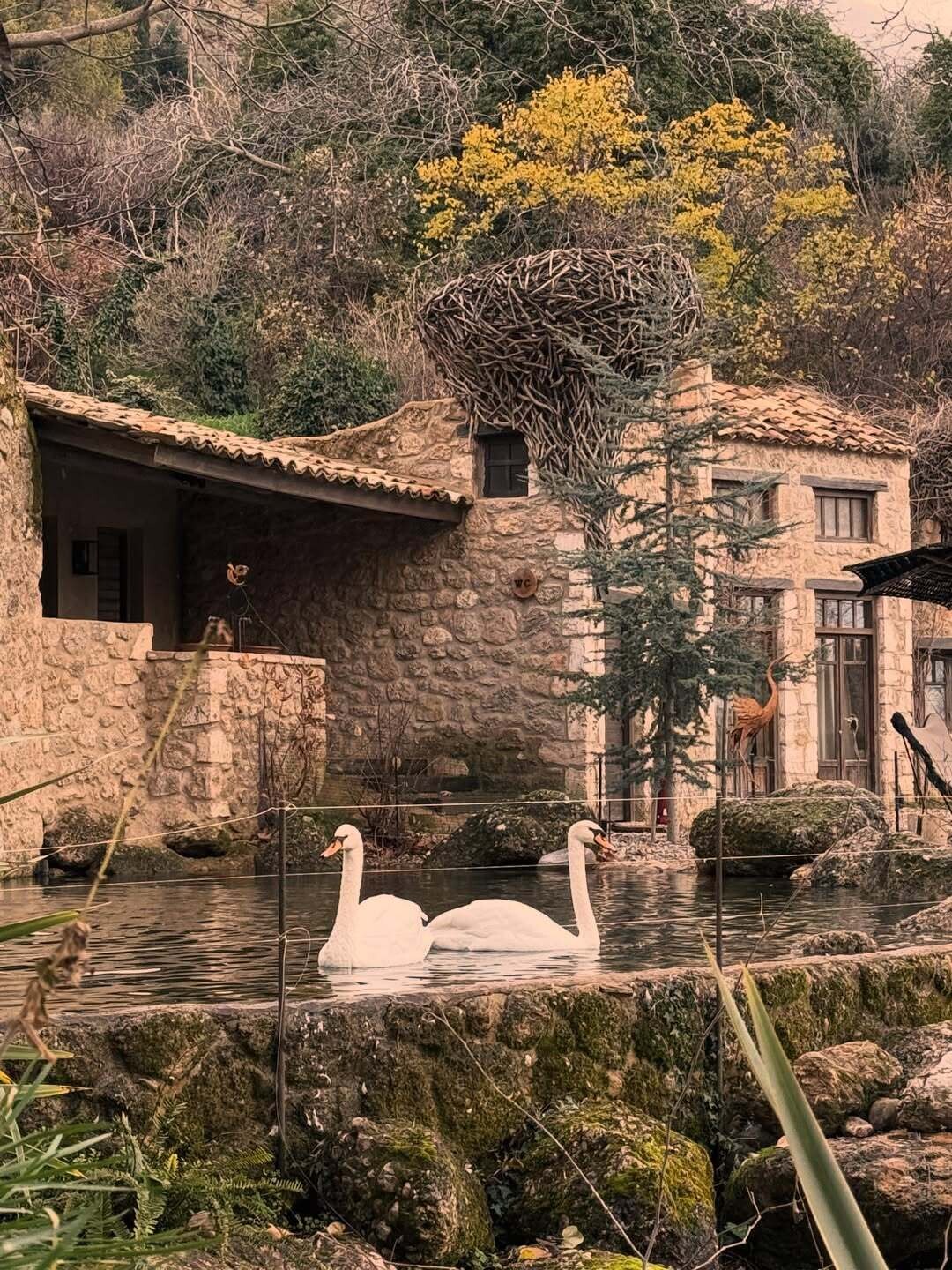 SnapInsta.to 613734728 18555039259037376 3037193472940731710 n f293f