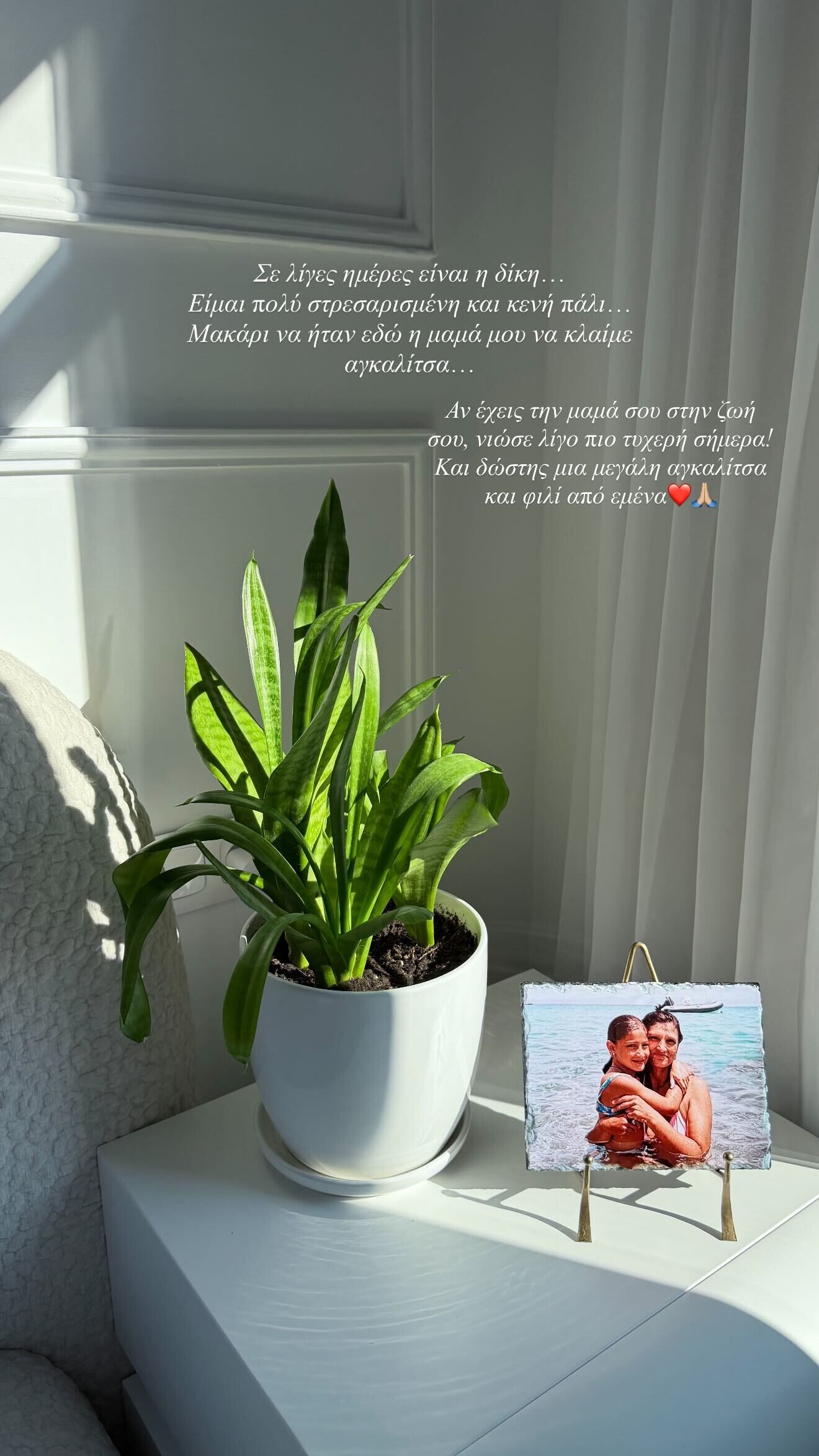 619848393 18548448931012849 4906481507084832597 n 6e6a6