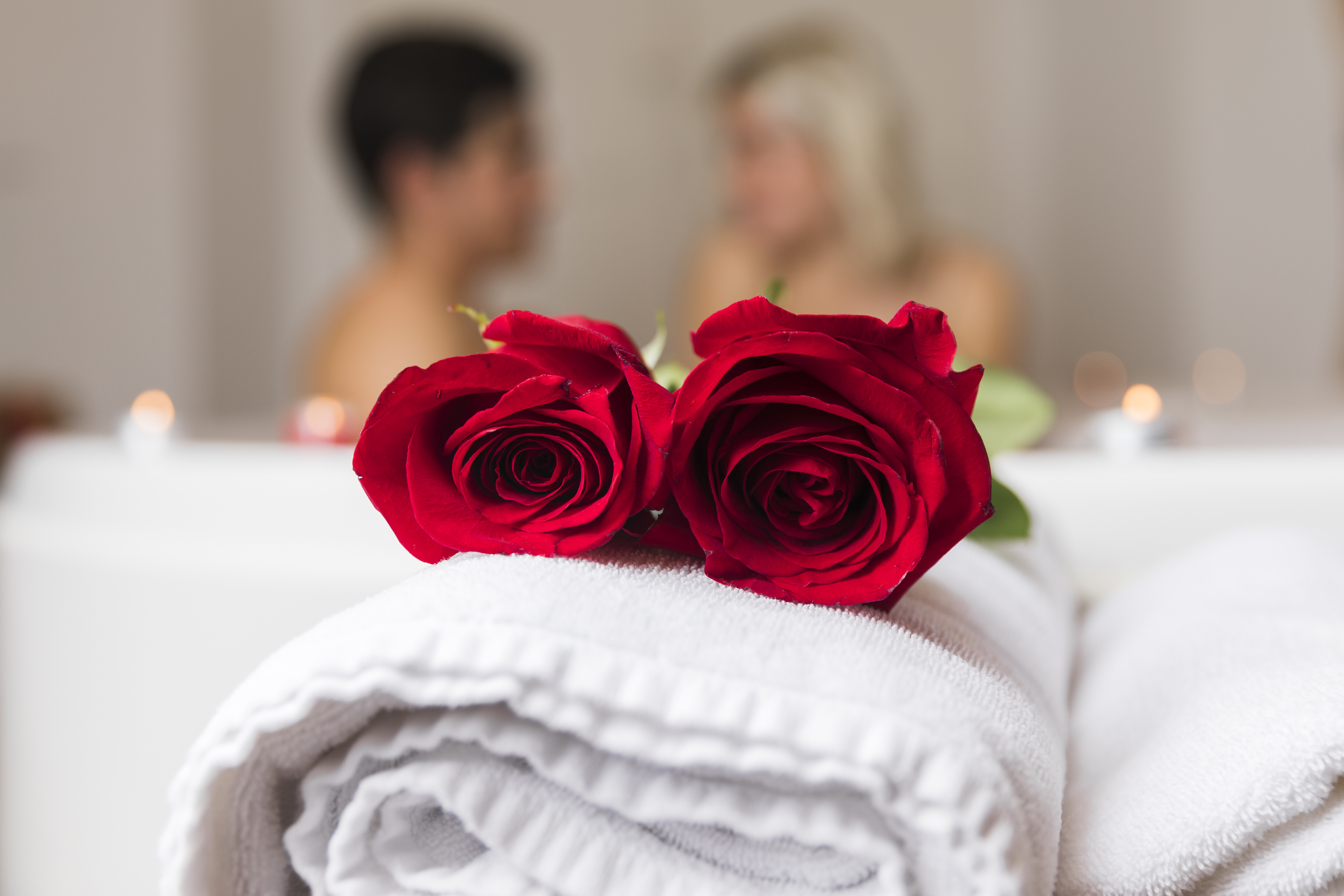 close up red roses with defocused couple 6aa34