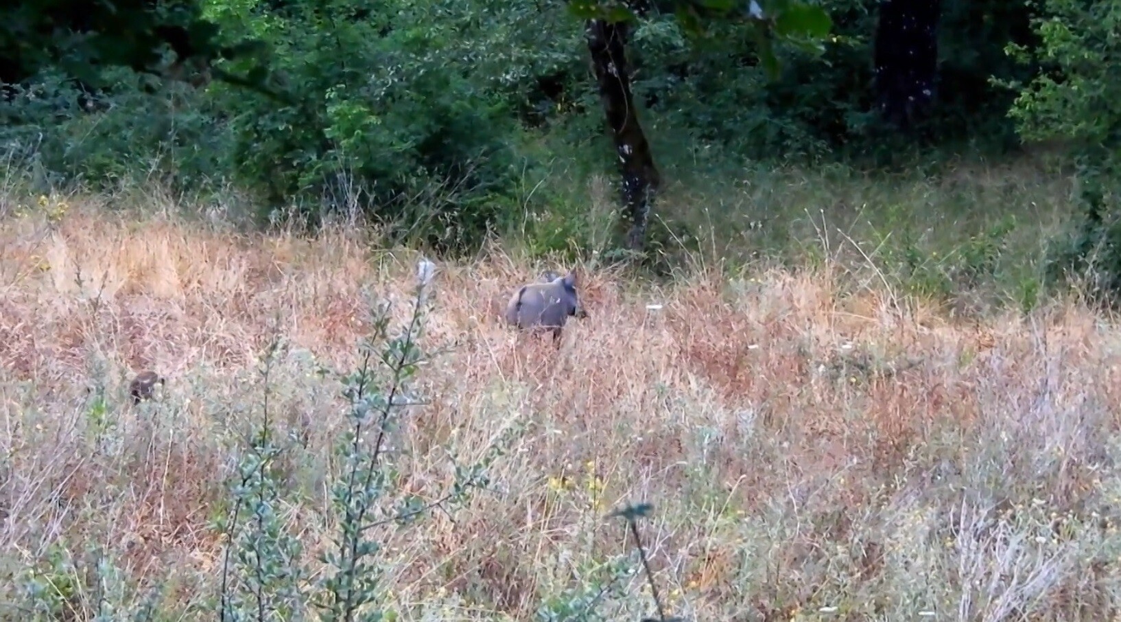 ΟΠΟΥ ΥΠΑΡΧΕΙ ΕΛΛΑΔΑ 30.01 2 825ab
