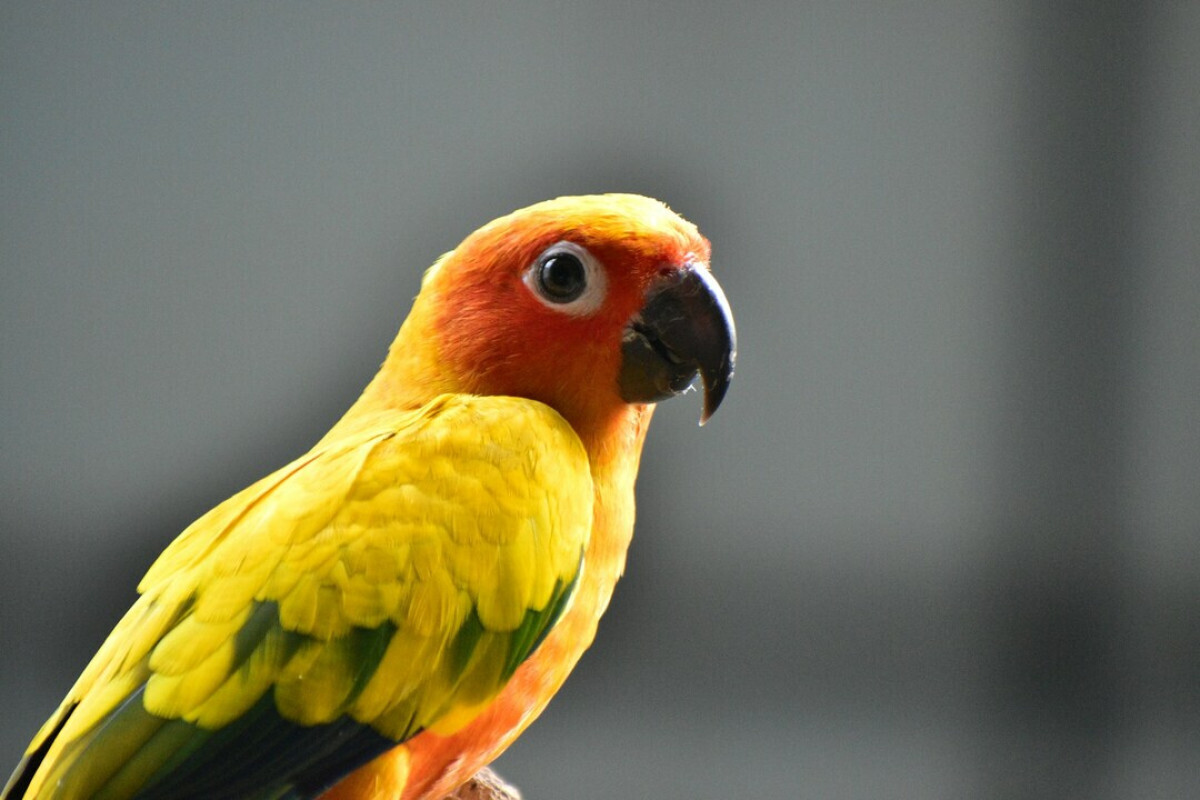 b7f1792e5d086b1f0836880304ecfdc0 XL 868c7