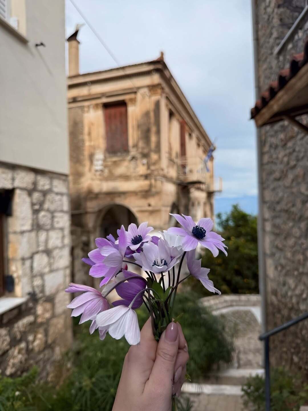 SnapInsta.to 625405736 18560332525038604 9007249861545220383 n d6fdd