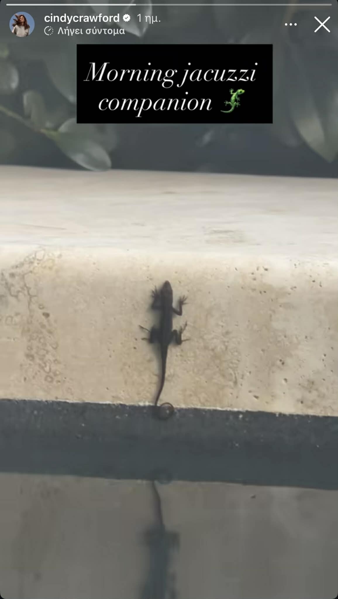 feafe87b ea4e 4d29 8df1 69ea0f50f59f ac91c