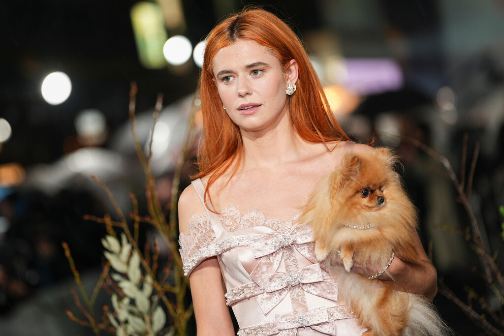 AP26036635596091 b524a