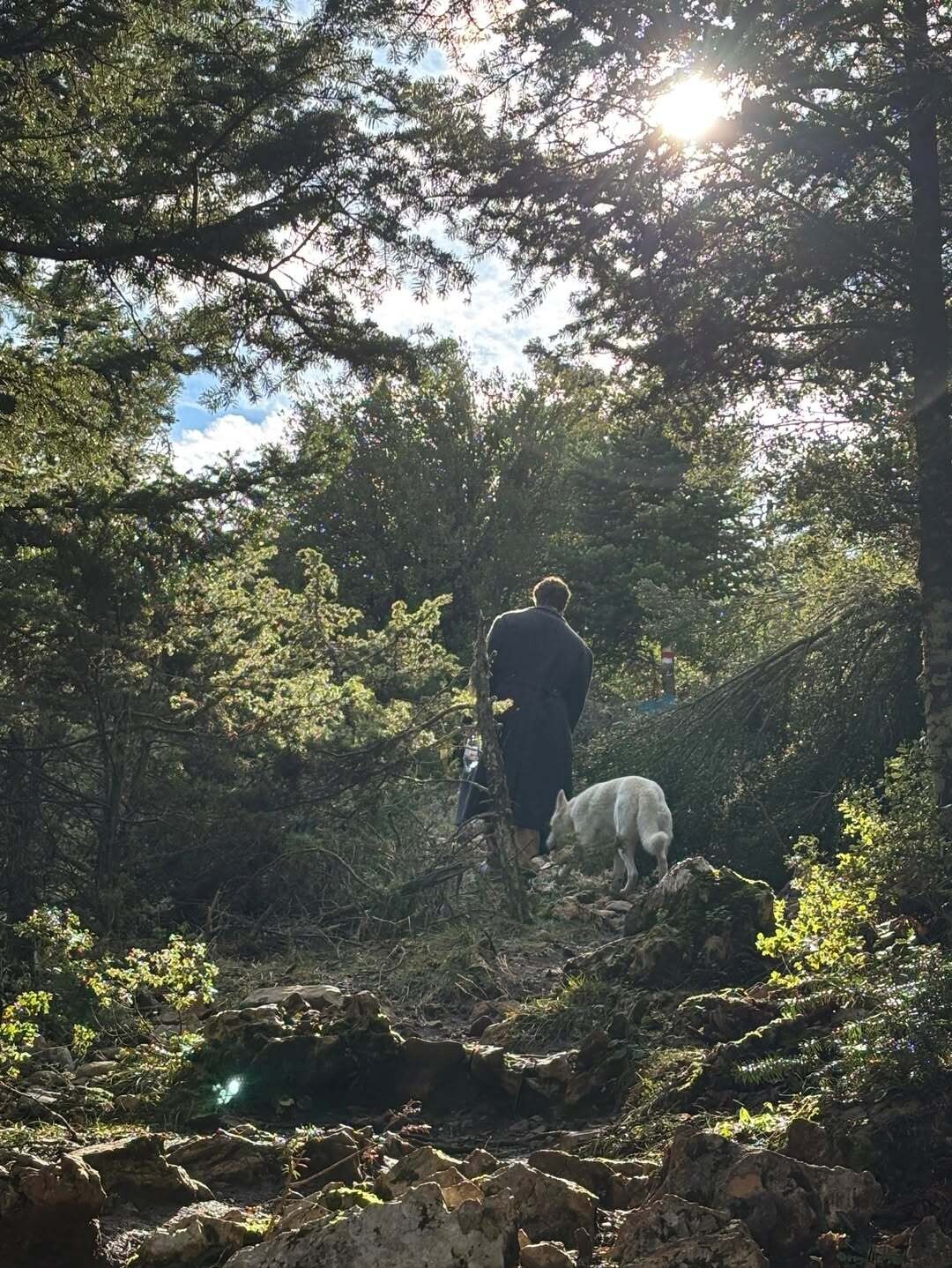 SnapInsta.to 630682935 18566543395021036 9072266521053453569 n 427f9