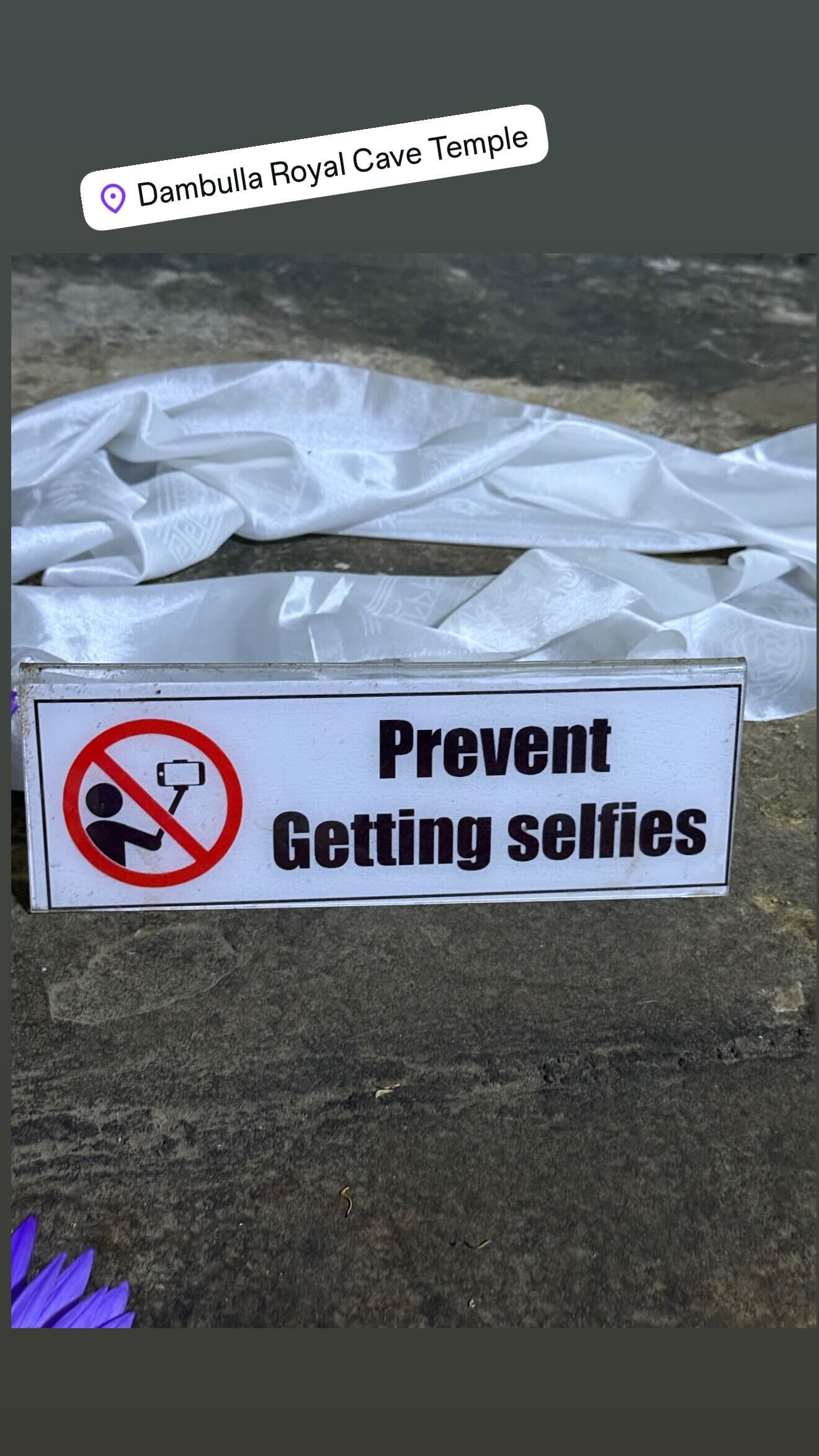 638289208 18572475067044708 6248158851715273060 n 3bb89